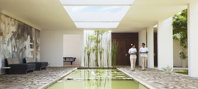 谧境翼居-成人专属疗愈泻湖酒店(Jetwing Lagoon Wellness, A Luxury Reserve - Adults Only)图片