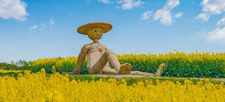 乌镇乌村酒店图片