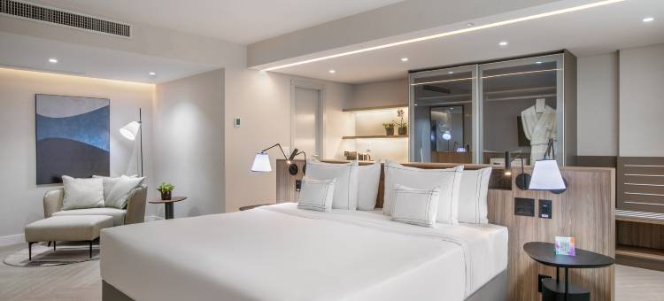 美利亚巴西21酒店(Melia Brasil 21)图片