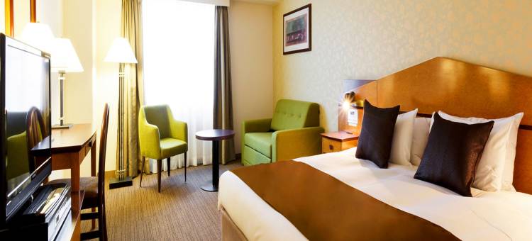 岐阜三位酒店(Hotel Resol Gifu)图片