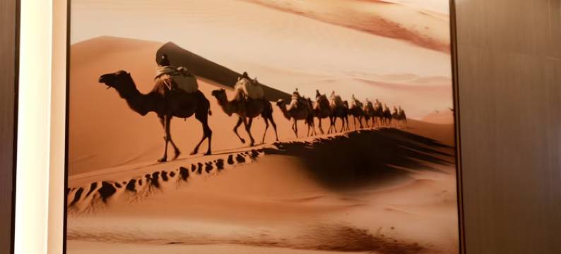 莎车德隆酒店图片