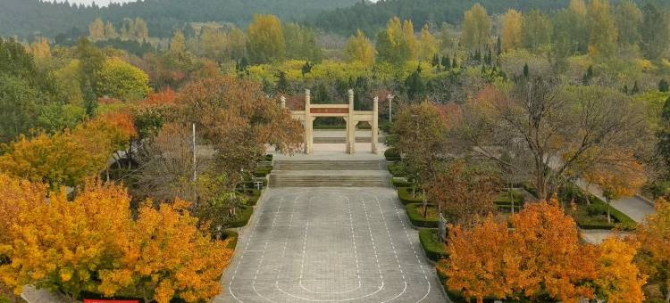 维也纳3好酒店(济南平阴一中店)图片