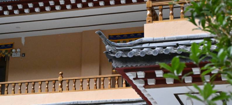 维西能聪康巴酒店图片