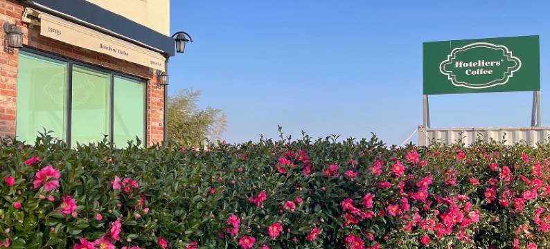 济州阿里亚酒店(Aria Hotel)图片