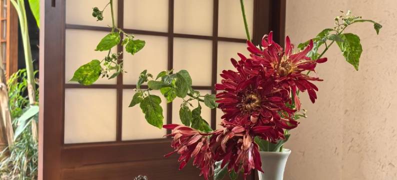 汉源老徐客栈图片