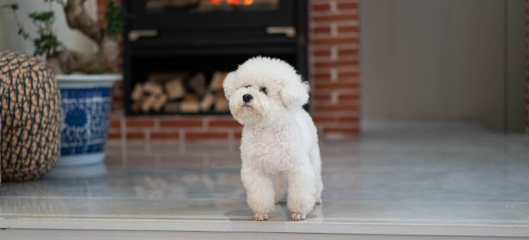 石山下民宿图片