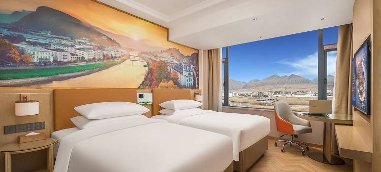 维也纳酒店(当雄县政府店)图片