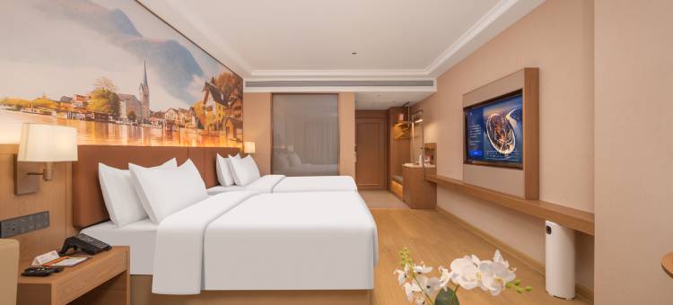 维也纳酒店(陇县店)图片