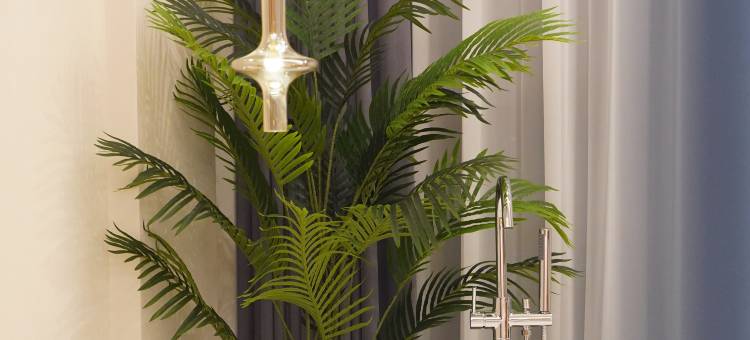 清远古龙峡紫悦民宿图片