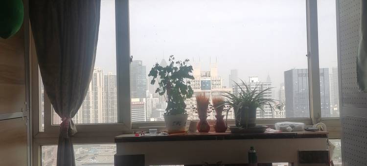 小贝壳青年旅馆图片