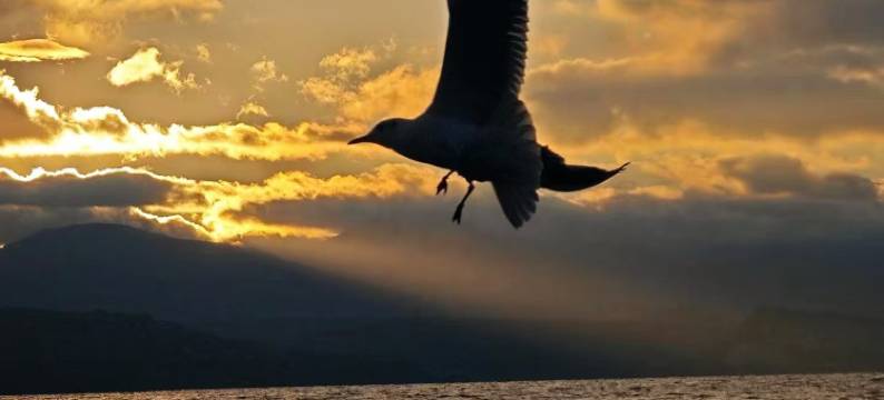 大理海天他家民宿(洱海才村码头店)图片