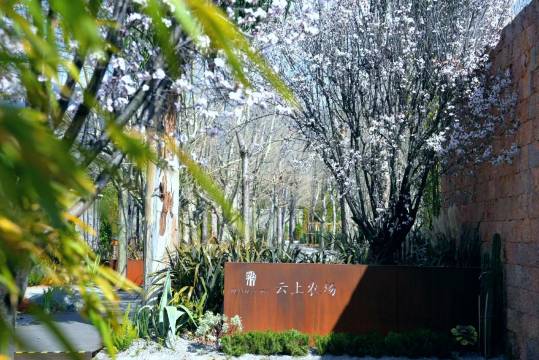 丽江悦榕庄图片