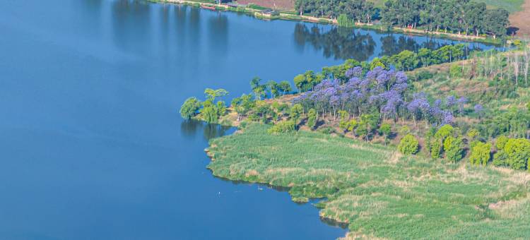 忽岚间·悦酒店(滇池大观公园店)图片