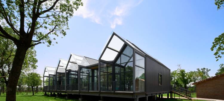 嘉兴开元开森部落图片