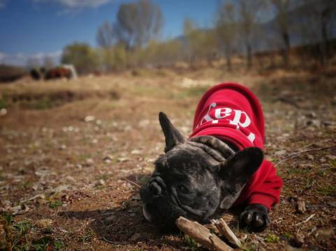 山野艺宿·观古城全景度假酒店(丽江北门大水车店)图片