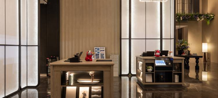 广州花都白云国际机场逸扉酒店图片