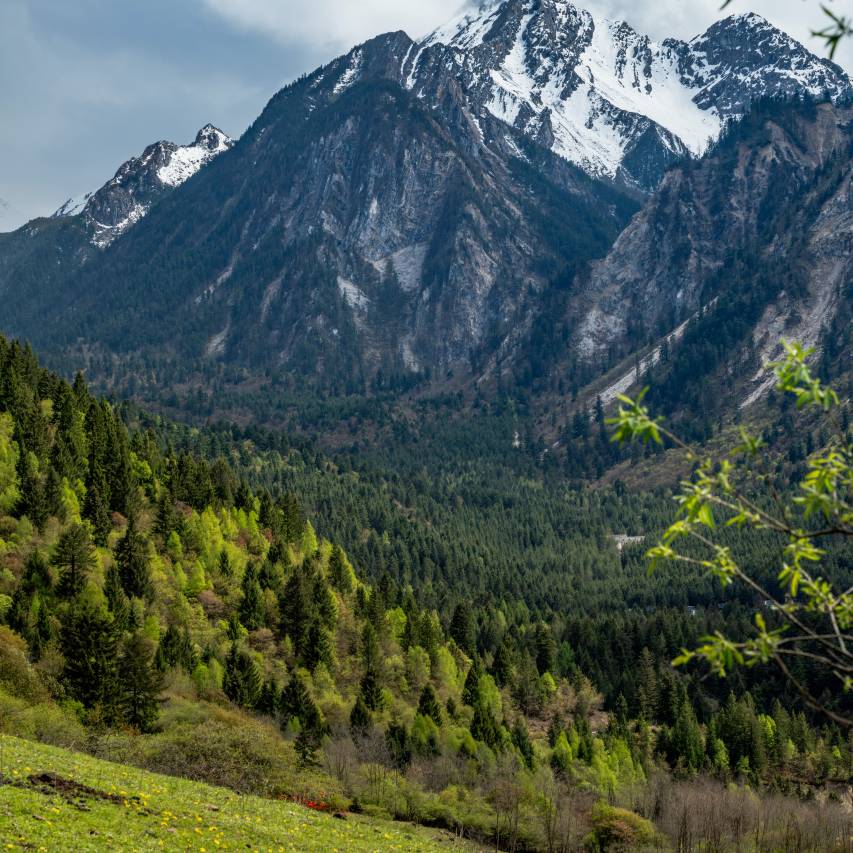 九寨鲁能希尔顿花园酒店图片