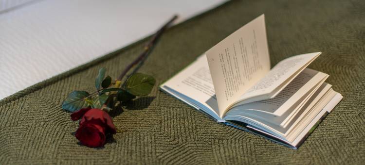 丽江拾壹｜中古法式艺术空间·雪山景度假酒店(古城日照金山店)图片