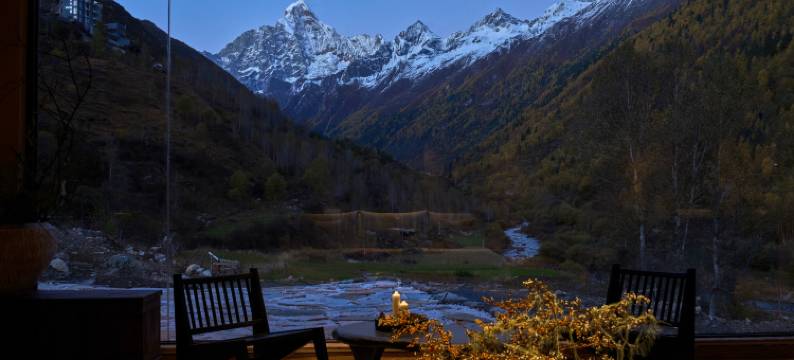 四姑娘山绿绒蒿MECONOPSIS金山庄园图片