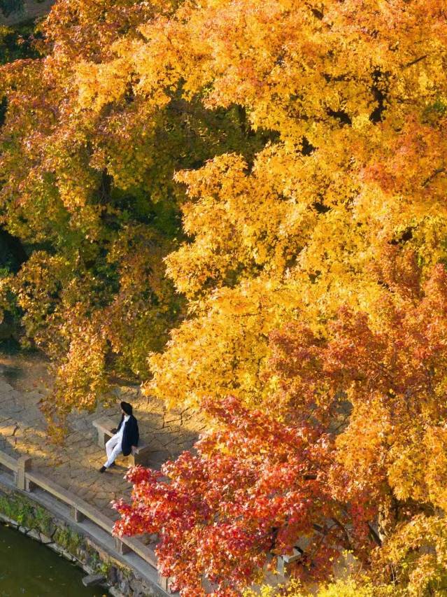 苏州合景万怡酒店图片