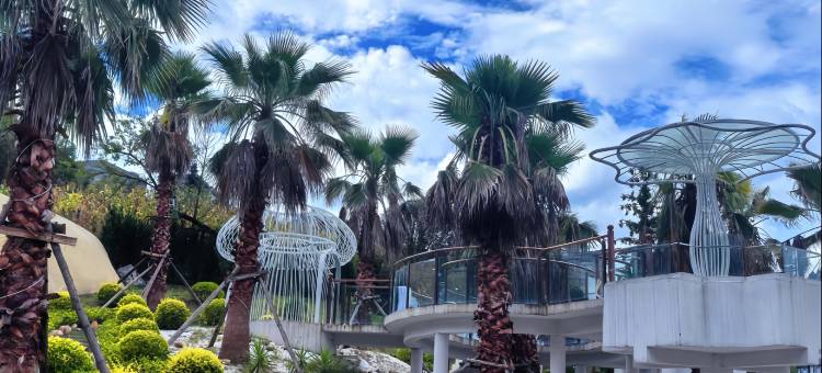 九股水温泉中心酒店图片