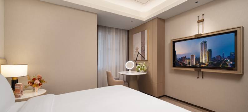 西安金陵紫金山酒店(西安城墙洒金桥美食街店)图片