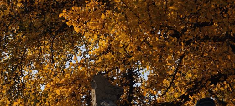 和颐酒店·体验店(扬州琼花大厦古运河东关街店)图片