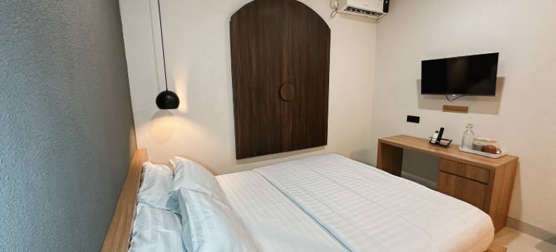 阿斯塔洛卡帕斯图尔(Asthaloka Pasteur)图片