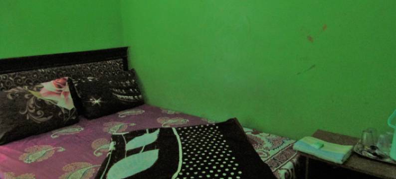 尼尔玛拉酒店(Hotel Nirmala)图片