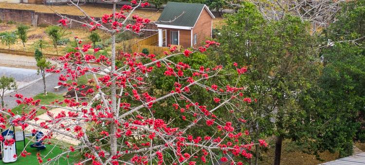 远青温泉民宿图片