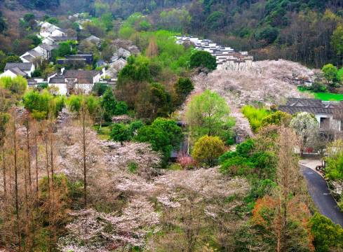 绍兴兰亭璞燊酒店图片