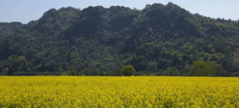 朴宿·所在(新安江店)图片