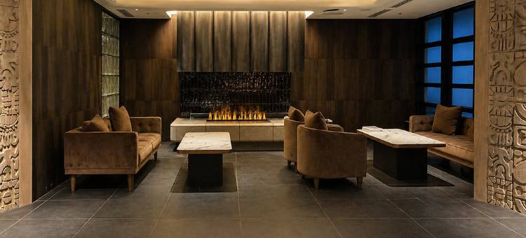 札幌兰铎酒店传承(Randor Hotel Sapporo Heritage)图片