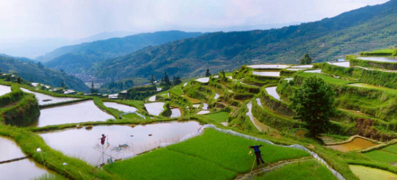 肇兴侗寨夏山民宿图片