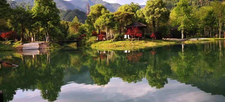 铜鼓汤里·时雨别苑图片