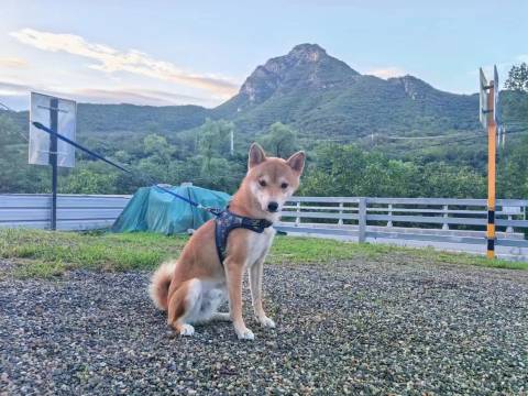 花筑·峪宿私汤小院图片