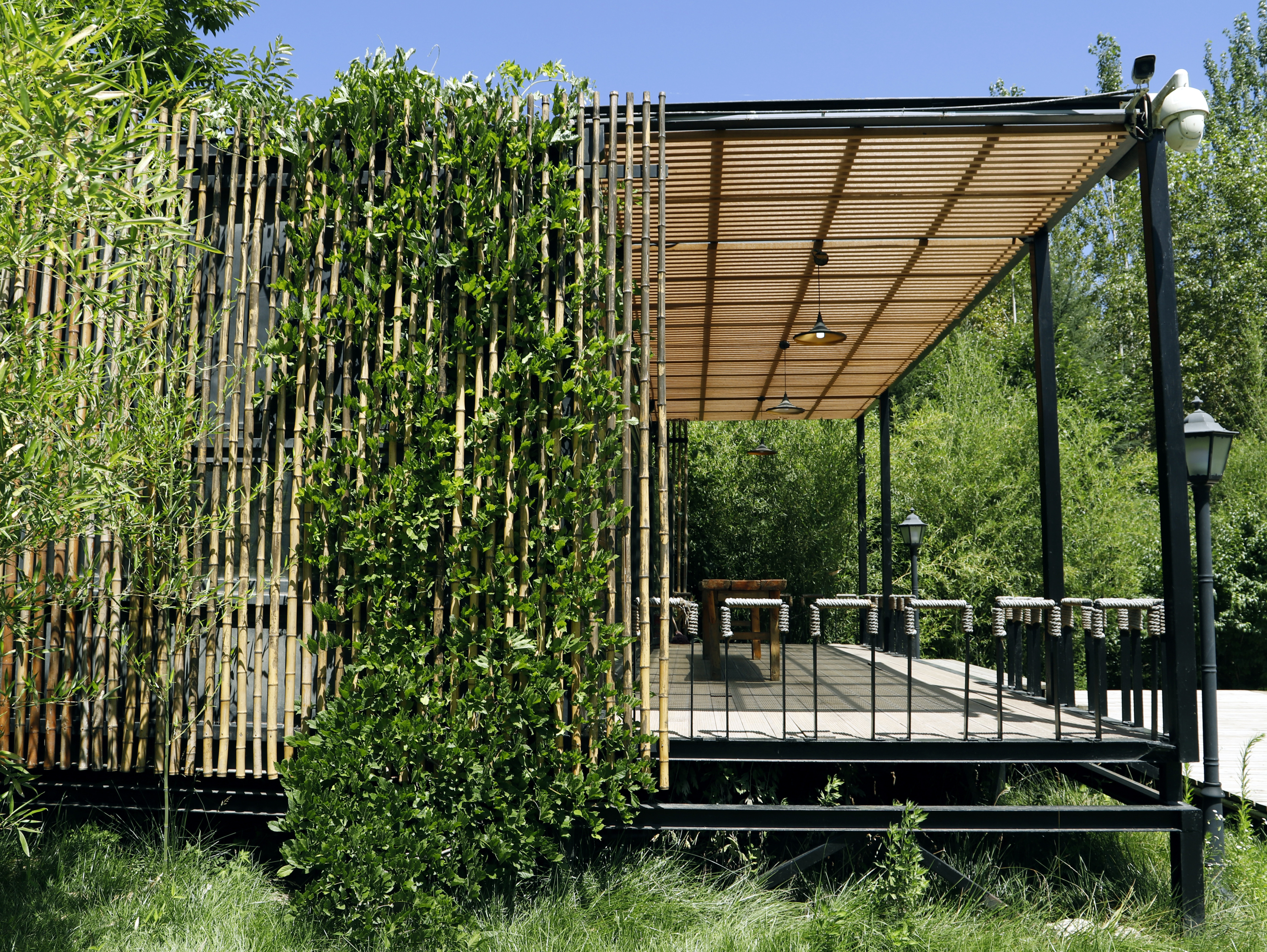 Starry Sky Secret RealmOver view