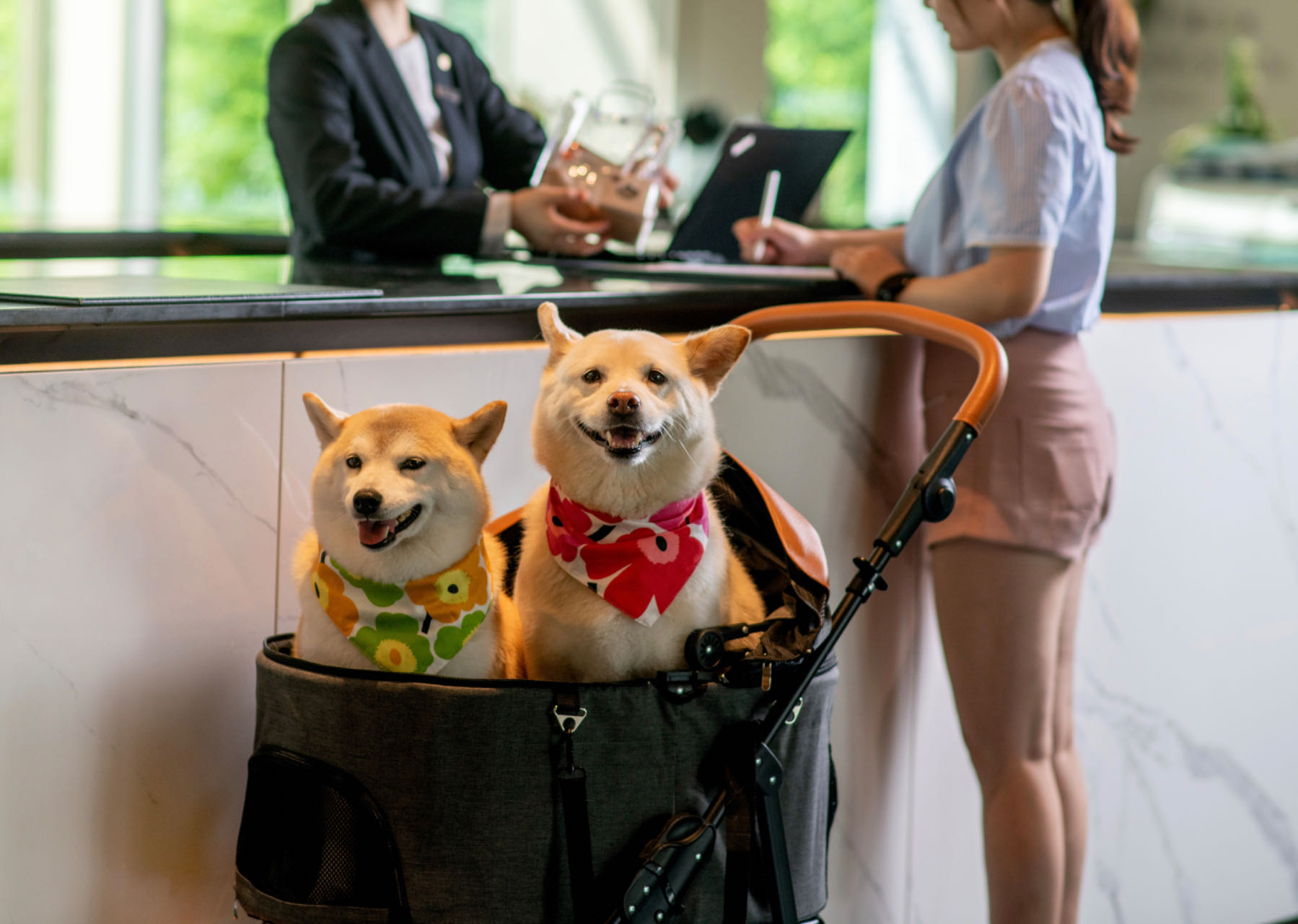 Mumian Chengdu Dong'an LakeOver view