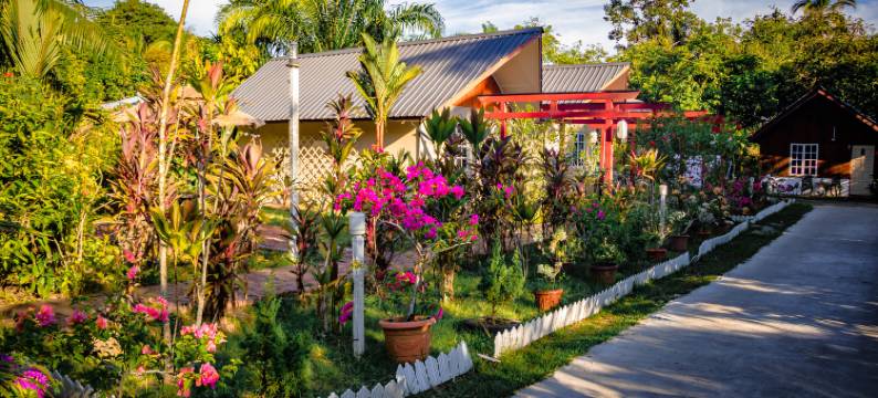 仙本那Timba Garden-免费市区/码头接送(Timba Garden Semporna Free Town / Jetty Transport)图片