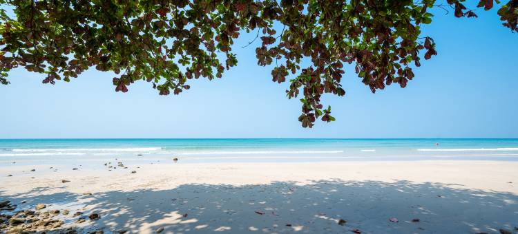 哢嚓象温泉度假村(Kacha Resort & Spa, Koh Chang)图片