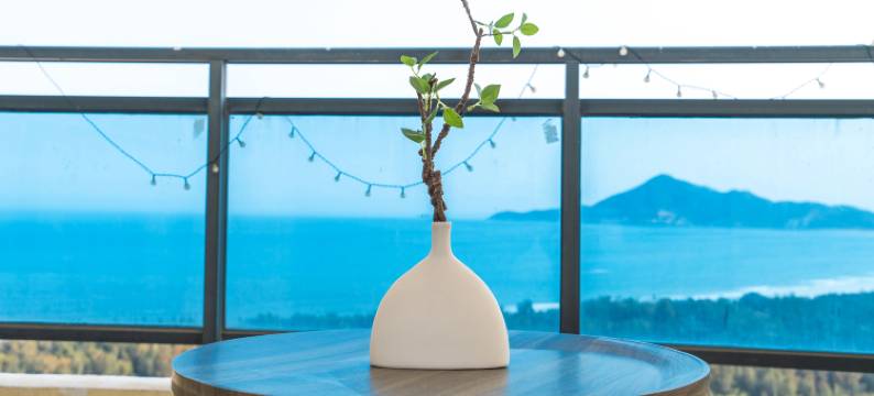 东山青屿海景房民宿图片