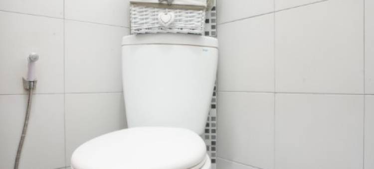 Dparagon Ijen Nirwana图片