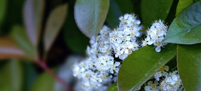 汀蘭河畔民宿图片