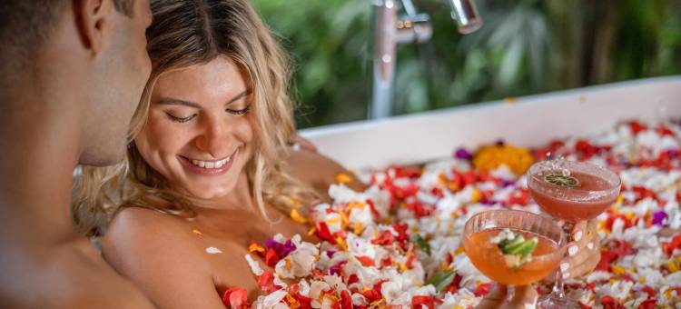 阿迪瓦纳苏维塔(Adiwana Suweta)图片