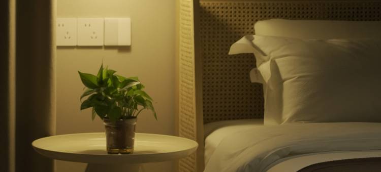 金芋别院民宿(盐边店)图片