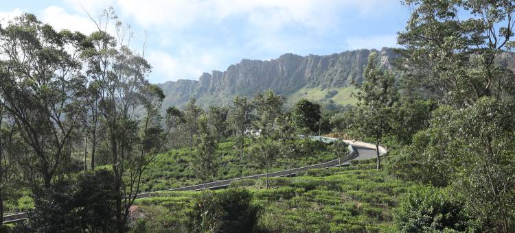 蔚十五汉塔纳庄园(W15 Hanthana Estate Kandy)图片