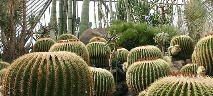 伊豆高原-寛道雅宿KANDO-(Izu Kogen Terrace - Kando -)图片