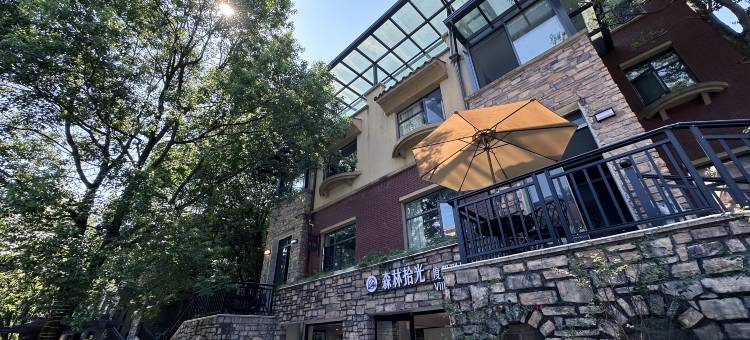 森林拾光·度假别墅酒店(东江湖景区店)图片