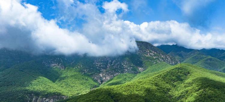 观嵩山假日酒店图片