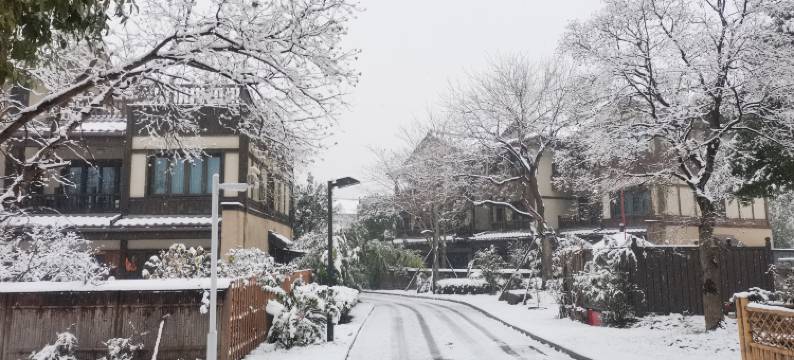 青花素客栈(无锡拈花湾店)图片